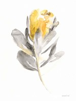 Spirit Flower I Fine Art Print