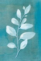 Cool Leaves I Framed Print