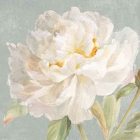 Garden Peony Neutral Crop Fine Art Print