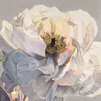 Morning Glow I Neutral Fine Art Print