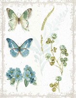 My Greenhouse Botanical IV No Words Framed Print