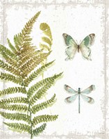 My Greenhouse Botanical III No Words Fine Art Print