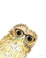 Owl in Glasses Fine Art Print