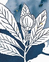 Indigo Blooms IV Framed Print