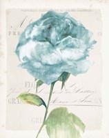 Antique Floral II Blue Vintage Fine Art Print