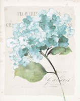 Antique Floral I Blue Vintage Fine Art Print