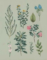 Victorian Garden VI Fine Art Print
