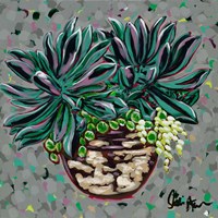 Succulent Pot I Fine Art Print