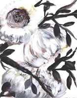 Farmhouse White Bush I Fine Art Print