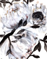 Farmhouse White Bush II Fine Art Print