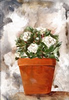 White Flower Clay Pot I Fine Art Print