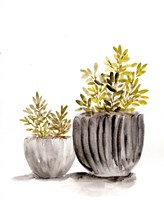 Gray Potted Plants Fine Art Print
