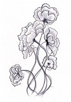 Blossoming Gray I Fine Art Print