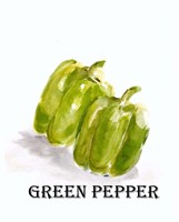 Veggie Sketch VIII-Green Pepper Fine Art Print