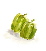 Veggie Sketch plain VIII-Green Pepper Fine Art Print