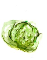 Veggie Sketch plain IX-Lettuce Fine Art Print