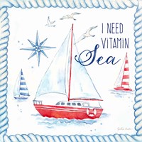 Nautical Sea Life IV-Sailboat Framed Print