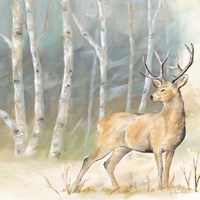 Woodland Reflections III-Deer Fine Art Print