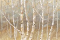 Autumn Birch landscape Fine Art Print