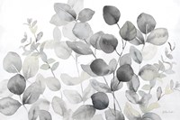 Eucalyptus Leaves landscape neutral Fine Art Print