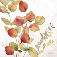 Eucalyptus Leaves Spice II Fine Art Print