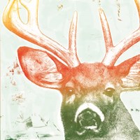 Portrait of a Deer rainbow Fine Art Print