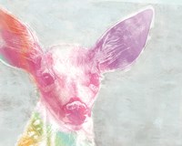 Portrait of a Fawn rainbow Fine Art Print