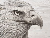 Eagle landscape Fine Art Print