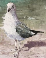 Beach Bird III Fine Art Print