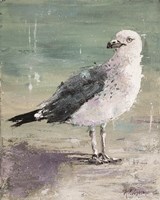 Beach Bird IV Fine Art Print