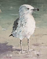 Beach Bird V Fine Art Print