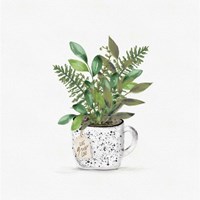 Botanical Mug II Fine Art Print