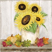 Fall Sunflowers I Framed Print