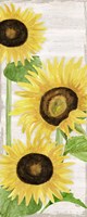 Fall Sunflowers panel I Framed Print