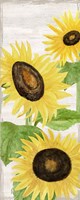 Fall Sunflowers panel II Framed Print