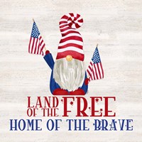 Patriotic Gnomes IV-Land of the Free Fine Art Print