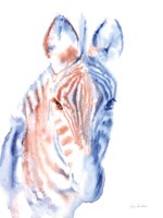 Copper and Blue Zebra Fine Art Print