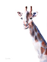 Copper and Blue Giraffe Fine Art Print