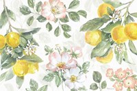 Citrus Charm IV Fine Art Print