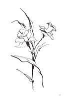 Line Daffodil Fine Art Print