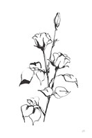 Line Rosebuds Fine Art Print