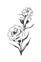 Line Carnation III Fine Art Print