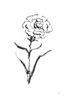 Line Carnation I Fine Art Print