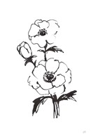 Line Anemone II Fine Art Print