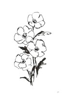 Line Anemone I Fine Art Print