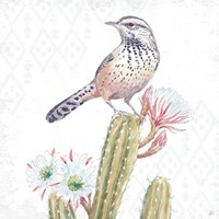 Desert Beauties XIII Fine Art Print