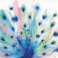 Peacock Glory IV Fine Art Print