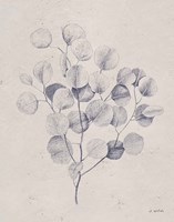 Soft Summer Sketches II Navy Framed Print