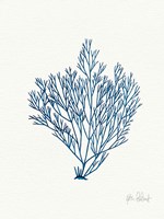 Sea Garden II Royal Blue Fine Art Print