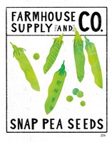 Kitchen Garden Seed Packet II Framed Print